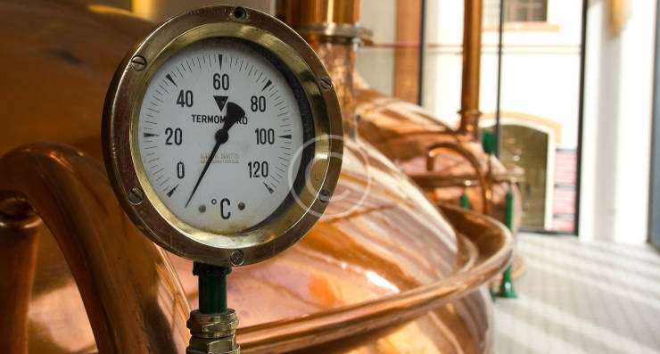 The top 5 beers in the world