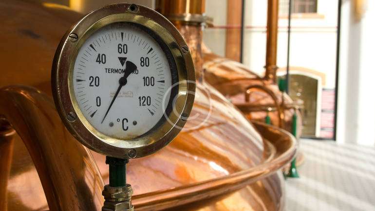 The top 5 beers in the world